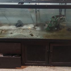 Huge 5ft 125 Gallon  Fish Tank With Pump, Filters And Accessories 