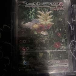 Gouging Fire Chase From Temporal Forces 