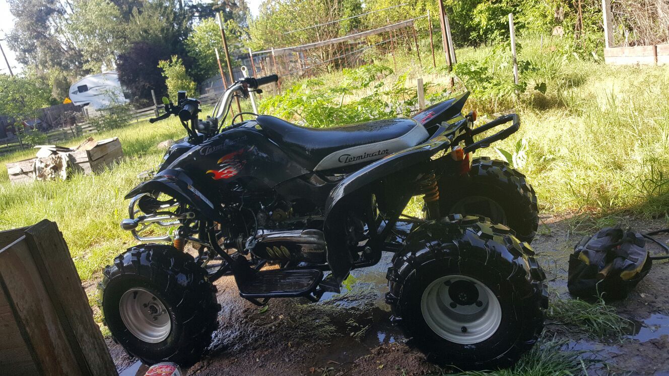 Terminator Chinese atv 150cc