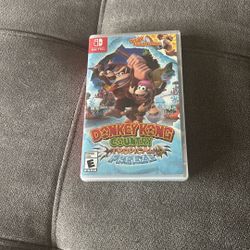 Donkey Kong Video Game 