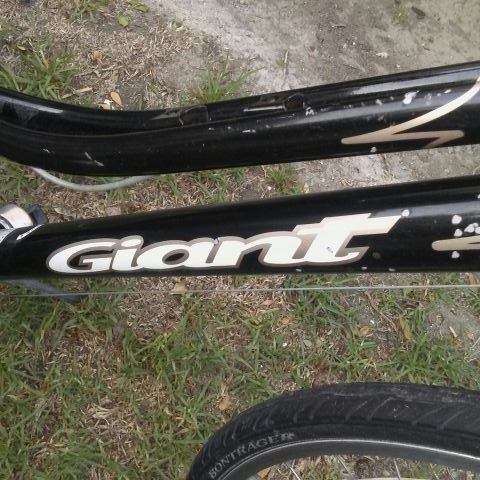 giant cypress 6061 aluxx hybrid