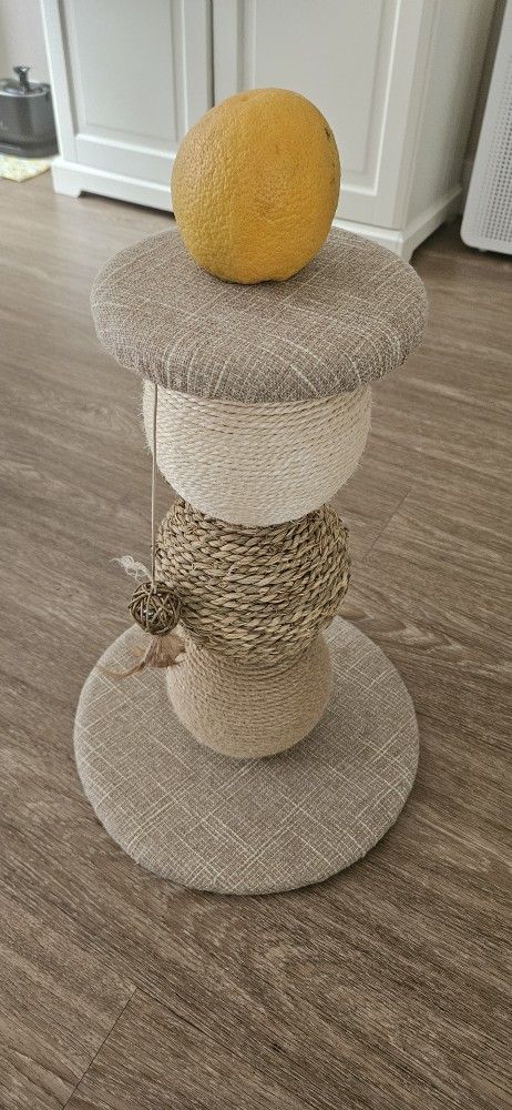 Cat Scratching Post Obo