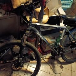 29 In Trek Marlin 