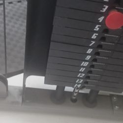 Gym Equipment 