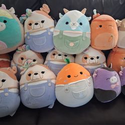 Squishmellows give me your offer of how  much$$