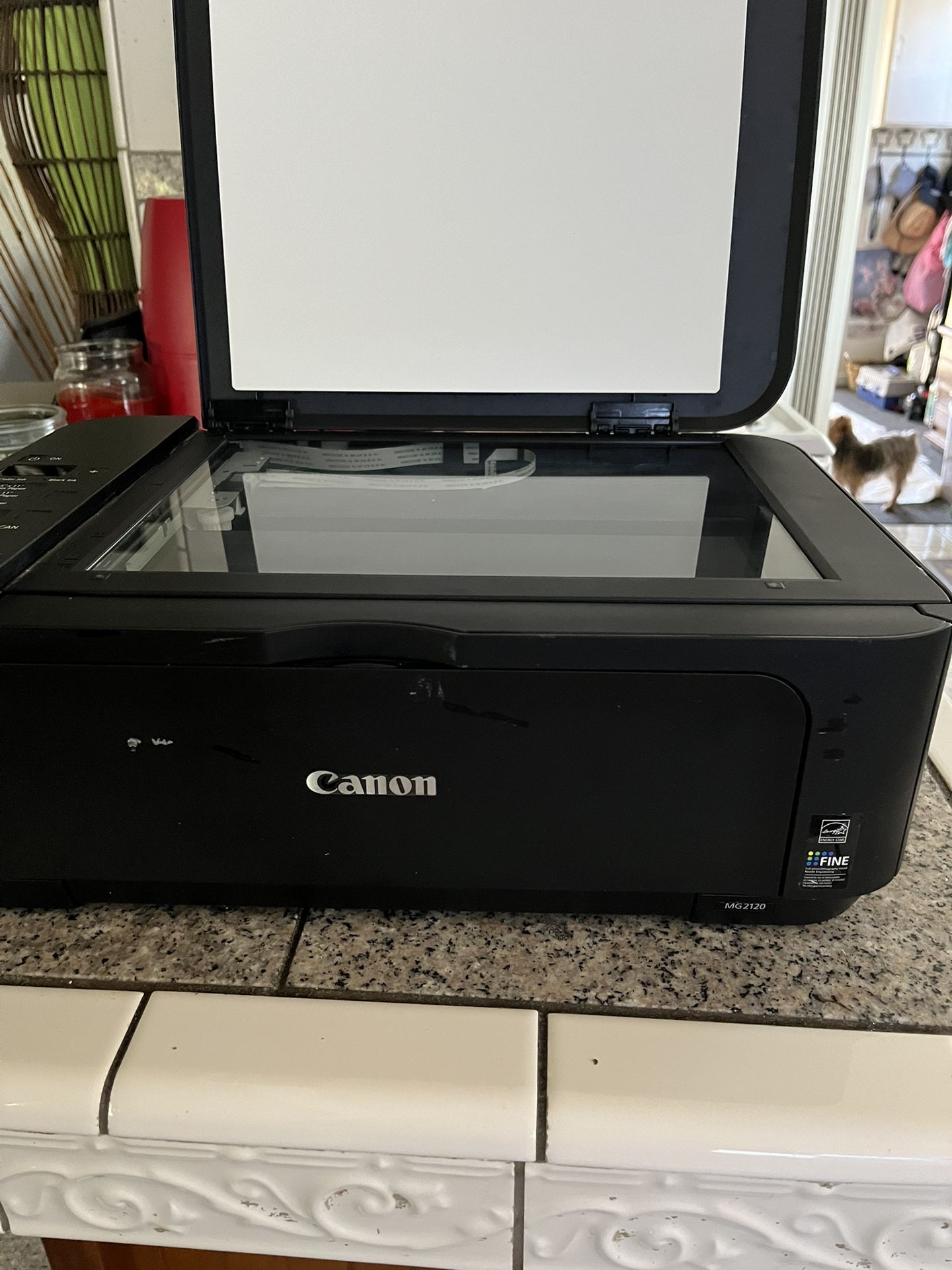 Printer, Copier, Scanner CANON. Need To Buy Ink