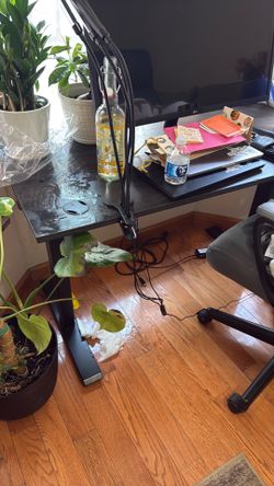 Standing Desk from amazon.