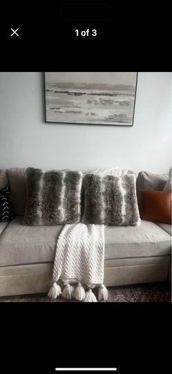 Gray Fuzzy Pillows