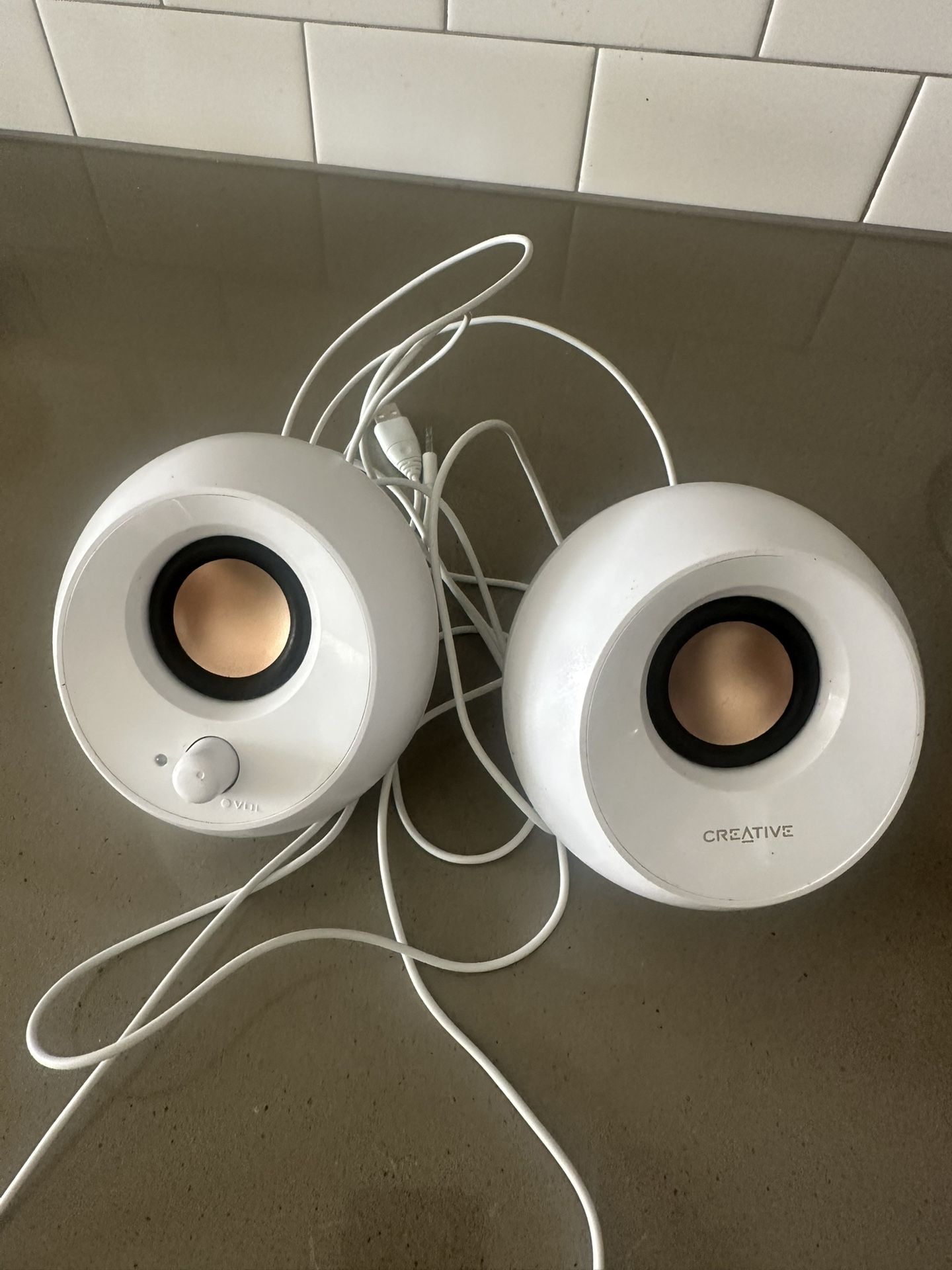 Speaker System