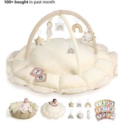 Baby Play Gym New In Box $40
