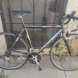 Trek 