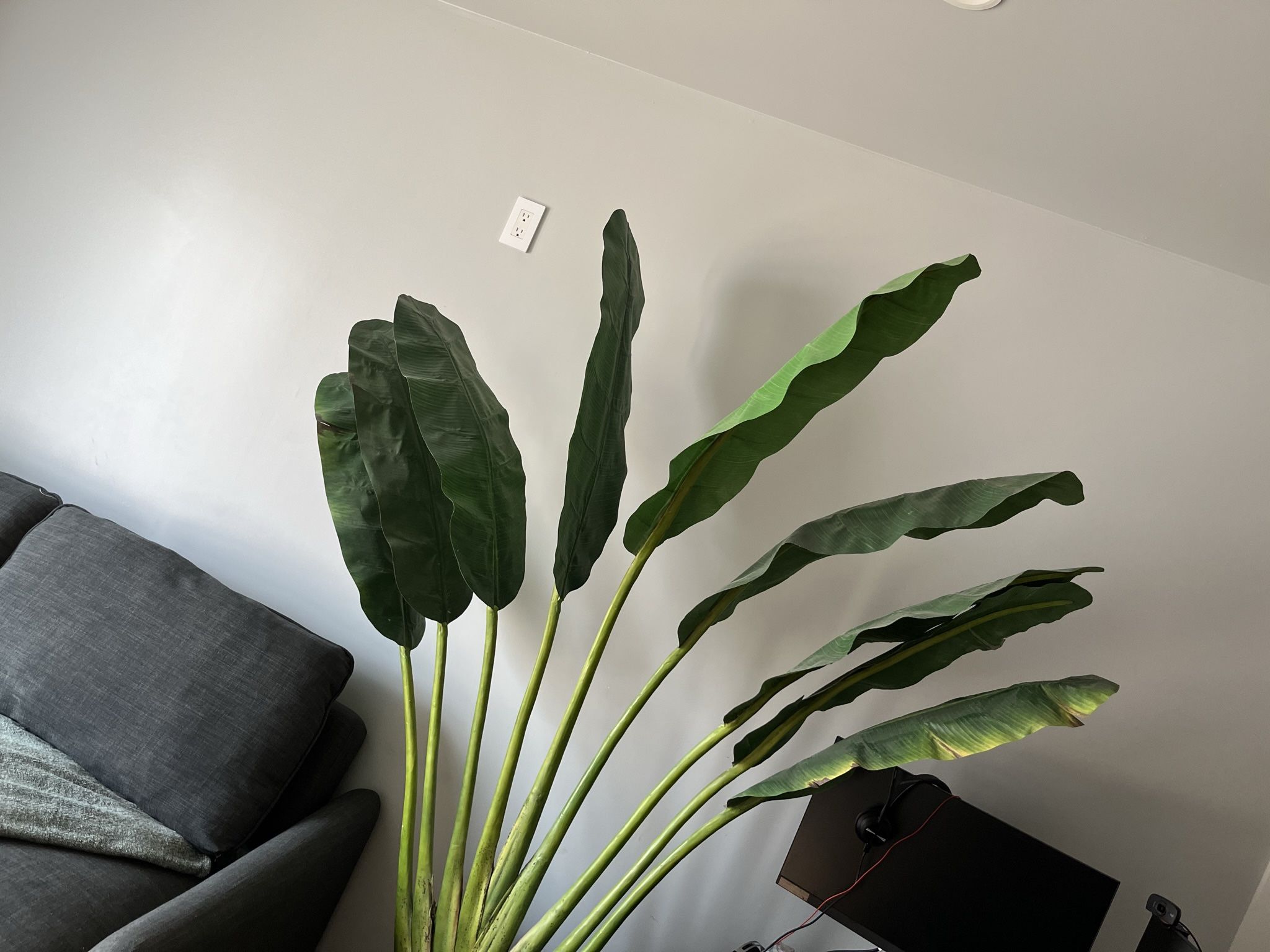 Artificial House/outdoor Plant 