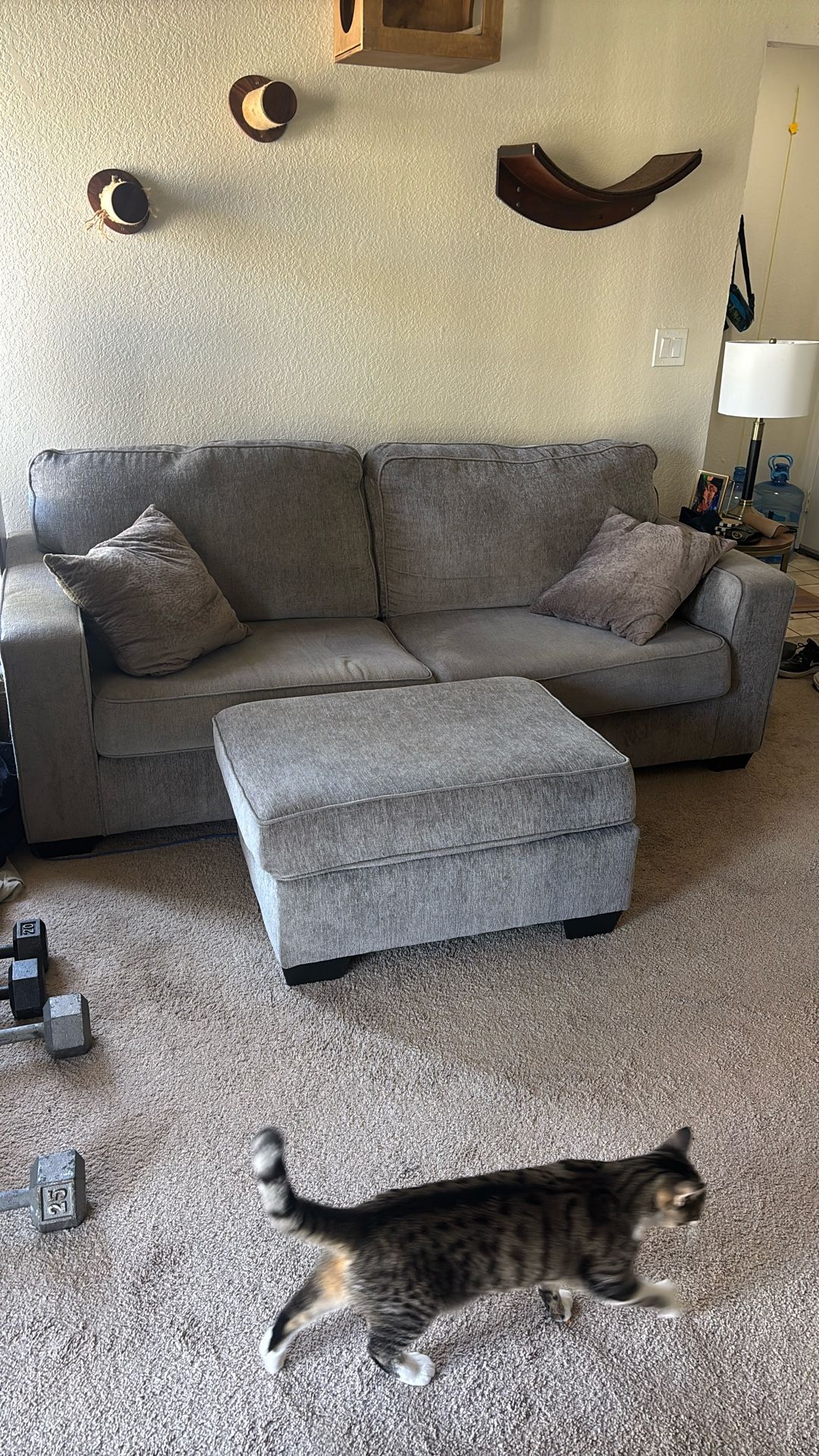 Gray Couch + Ottoman