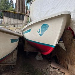 2- Boats Fiberglass One Sail One Row And Mold To Make 