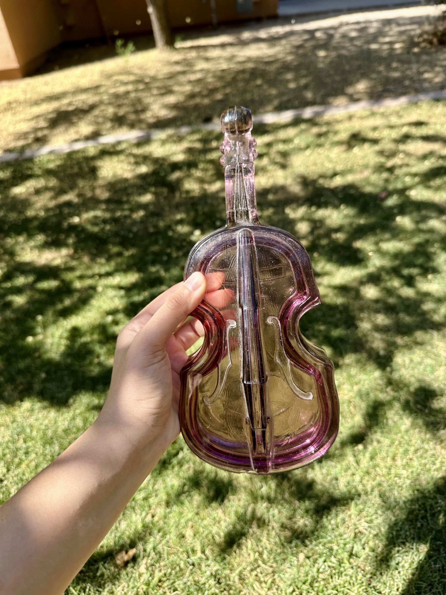 Violin Glass Box