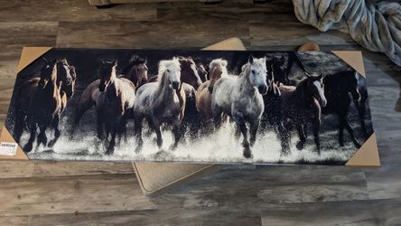 Renegade Horse Canvas Print 