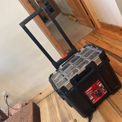 Cart TODAY ONLY