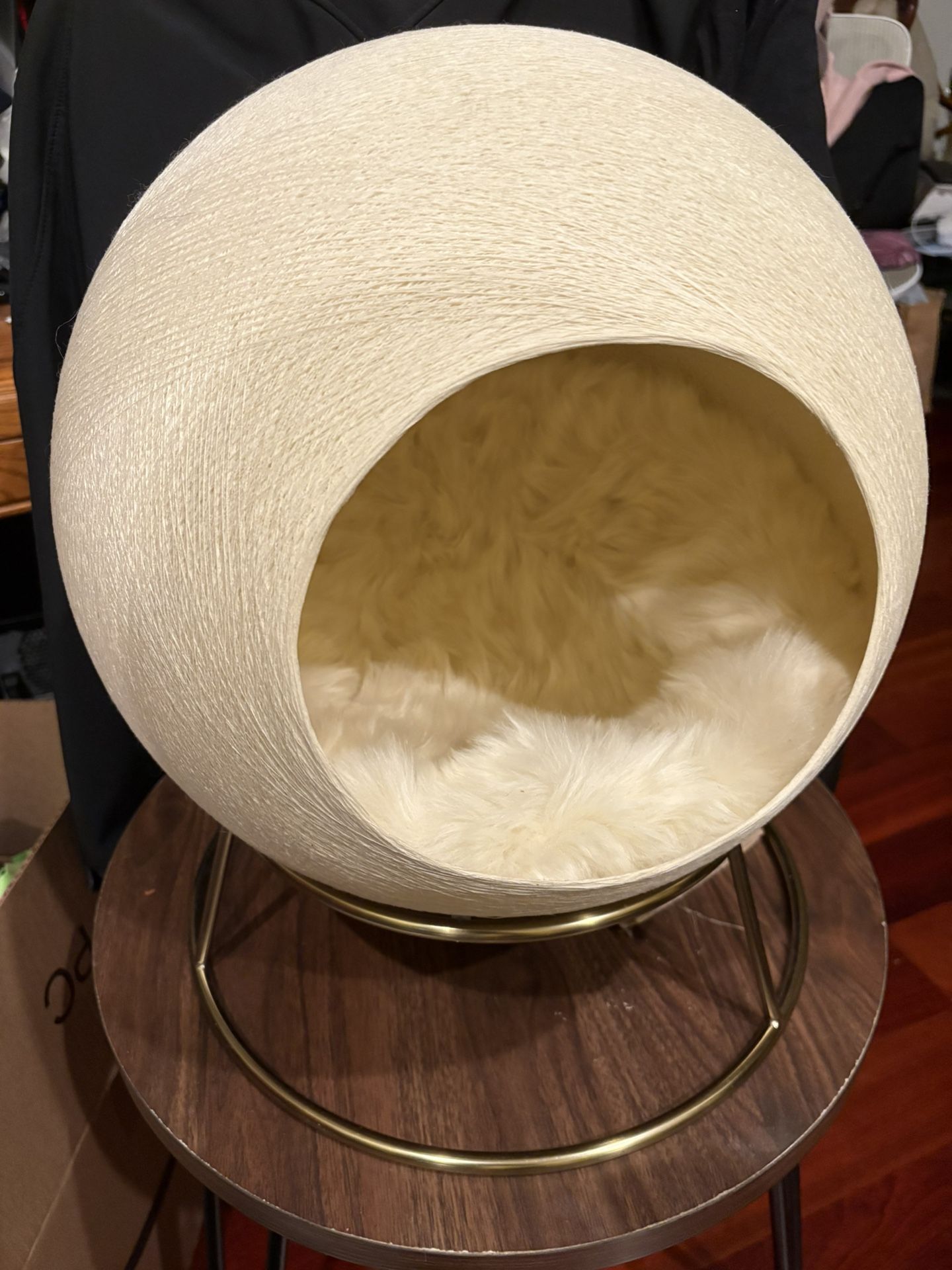 Stellar Modern Cat Bed