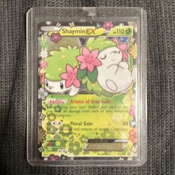 shaymin