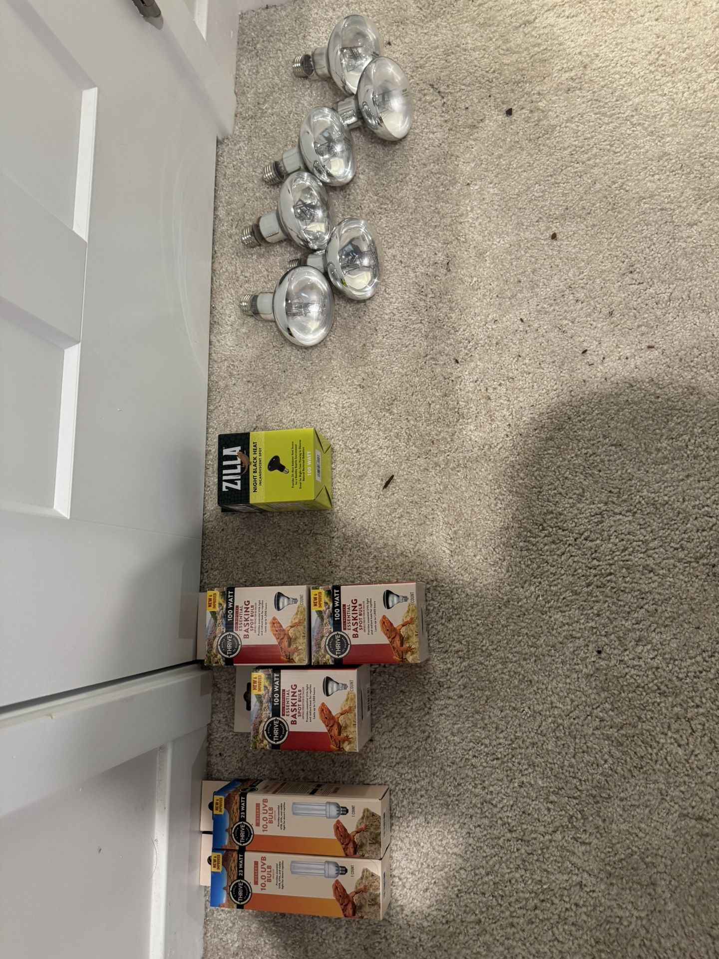 Light/ Basking Bulbs For Reptiles! Read Description!