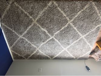 5x7 Shag Rug