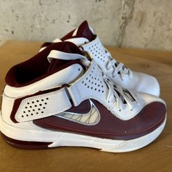 LeBron James Nike Shoes 
