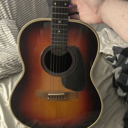 Applause Acoustic Guitar 