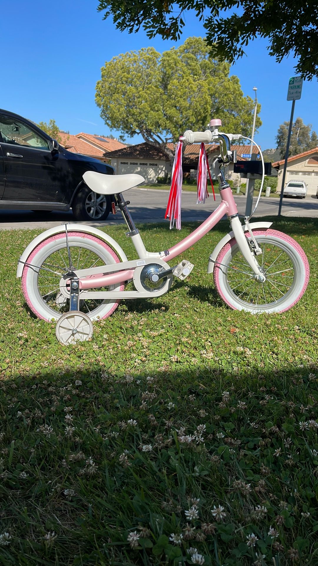 Ninebot Kids Bike (Pink)