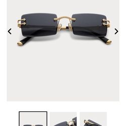 Brand New Sunglasses