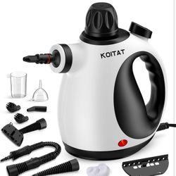 Steam Cleaner(never Used)