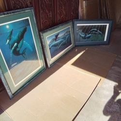  Three Artist Signed  Large Whale Framed Prints, Very Good Pre Owned Condition. Don McMichael.

Easy Safe Contactless Pick Up In Vista. 
