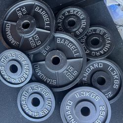 Rogue Olympic Weight Plates 