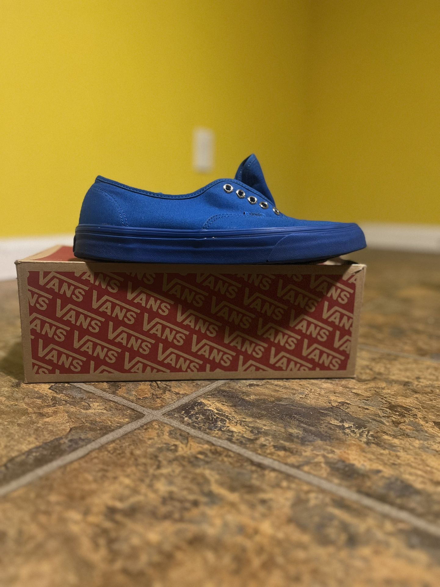 Vans Mono Era
