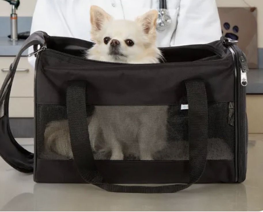 Small Dog/ Cat Carrier ( Black ) Bag Like New Fits A Small To Medium Pet