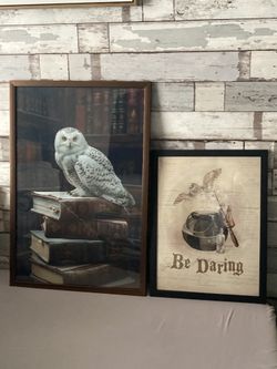 Harry Potter Wall Decor Like New $30 For Both