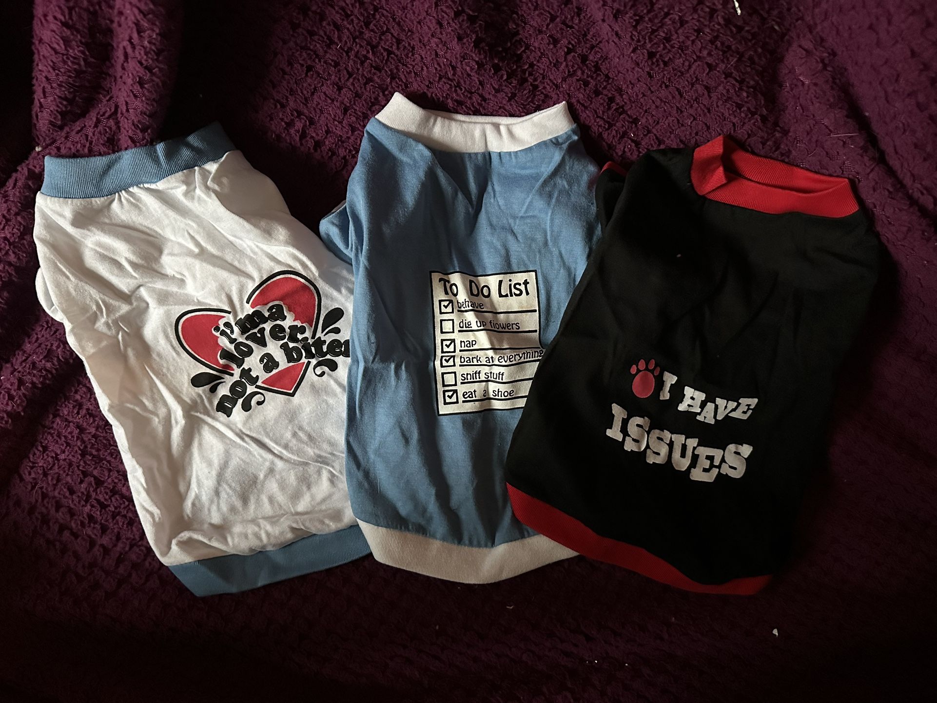 Small Dog Shirts
