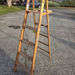 Werner Step Ladder