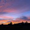 Redlands 