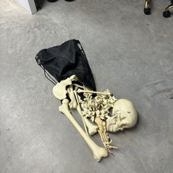 Dislocated Skeleton