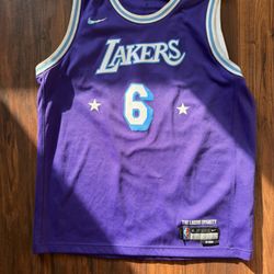 Nike LeBron James #6 LA Lakers City Edition Swingman Jersey Purple Size XL. 