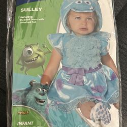 Sully costume