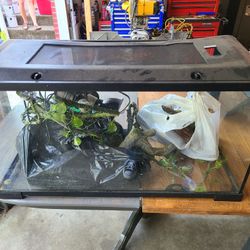 Large Reptile Tank-Lots Of Vines, Sand & Extras