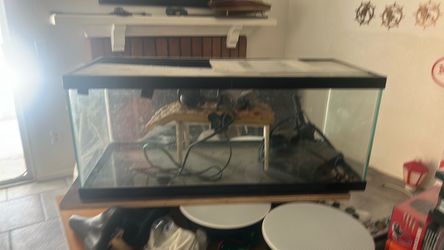 Aquarium
