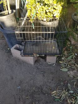 Small Dog Crate