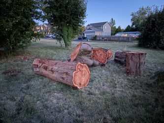 Cedar logs