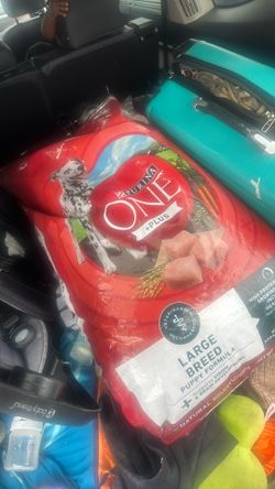 Purina ONE plus the Large Breed Puppy formula