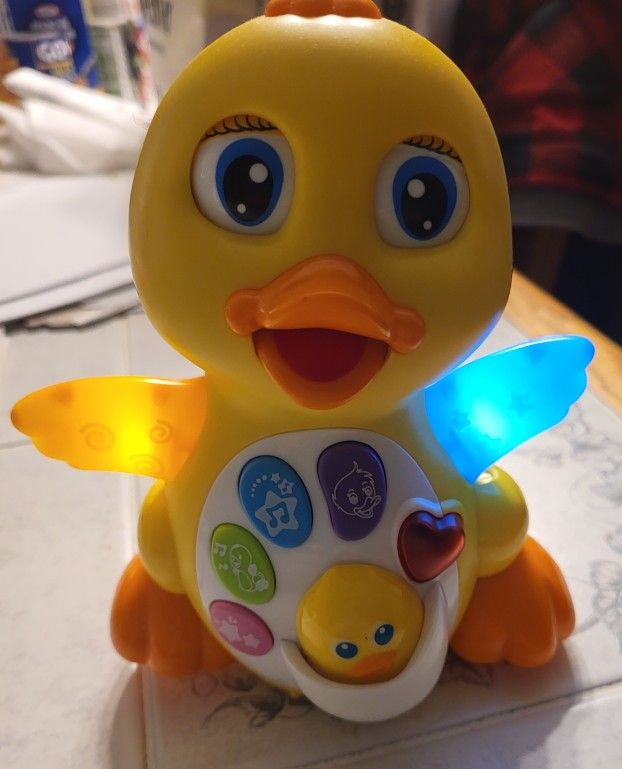 Musical Duck