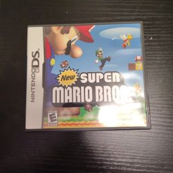 Nintendo DS Game
