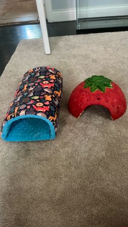 Guinea pig hideouts