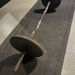 Curve Curl Bar And Weights 